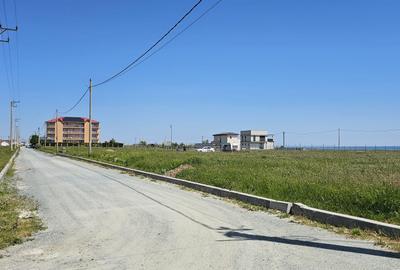 Teren Construcții intravilan de 10000 mp, în Exterior Sud - 3