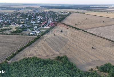 Spațiu comercial, în Tamași - 3
