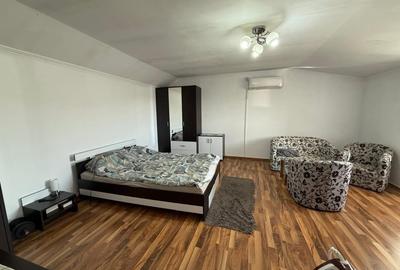 Apartament spatios, 1 camera, 56 mp utili - Aradului - 2