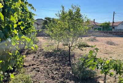 Teren Construcții intravilan de 3000 mp, în Lumina - 6