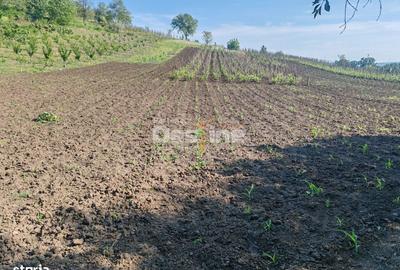 Spațiu comercial, de 70 mp, în Muntenii de Jos - 7