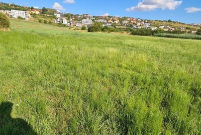 Spațiu comercial, în Borhanci - 4