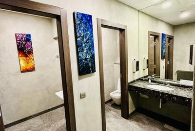 Oportunitate in zona centrala, 1000 m2 utili, terasa circulibila - 6