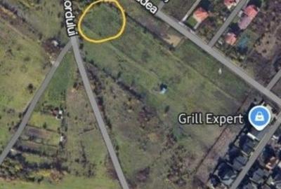 Spațiu comercial, în Dosu Bricii