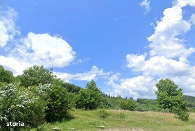 Teren de 5400 mp, în Oituz - 3