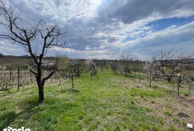 Casă cu 2 camere cu Teren 2052 Mp în Paleu - 3