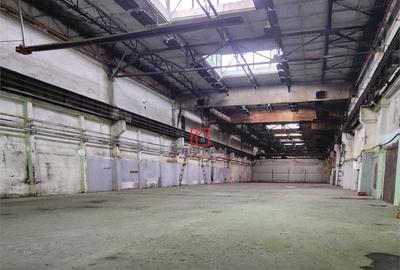 Depozit/hala/spatiu industrial Basarabia - Faur - 6