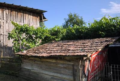 Casă cu 5 camere cu Teren 4000 Mp în Central - 11