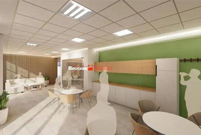 Spațiu comercial, de 261 mp, în Central - 13