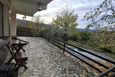 Daesti, jud. Valcea - 7