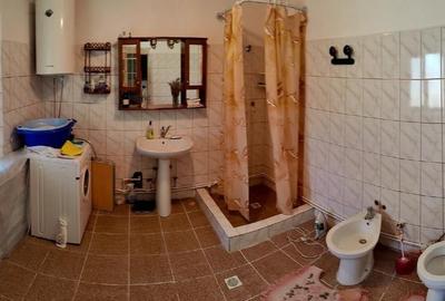 Vând proprietate cu 2 case în Comuna Mănăstirea, Călărași - 10