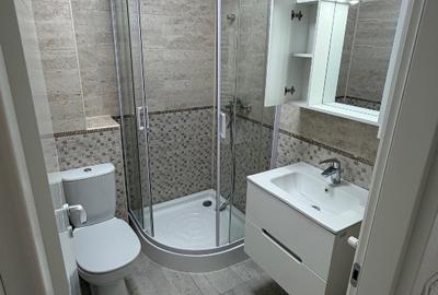 Apartament cu 3 camere decomandat, mobilat în Theodor Pallady - 11