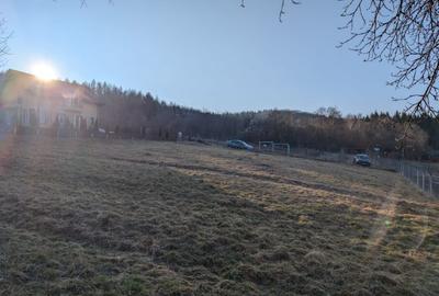 Teren intravilan Faget Str. Prof. Nicolae Margineanu, 1542 mp - 5