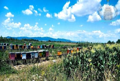 Investitie potential deosebit - Domeniu pe 20.400 mp teren intravilan, Brasov - 4