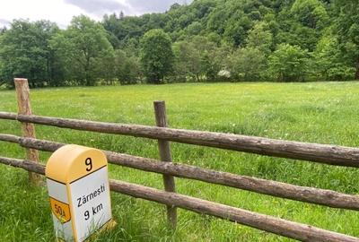 Teren intravilan de 2750 mp, în Brebina - 3