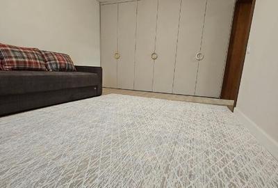 Apartament cu doua camere in zona Camil Ressu - 2