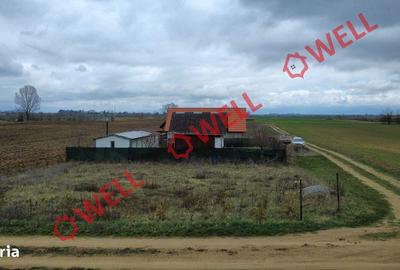 Spațiu comercial, în Reci - 4