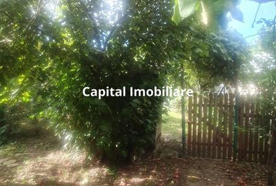 Casă cu 3 camere în Tufeni - 6