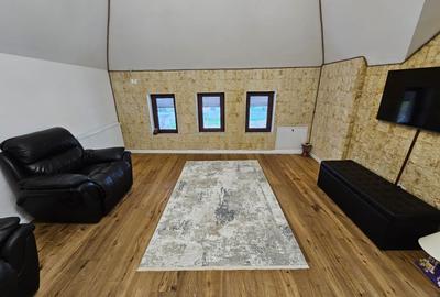 Casa Chitila P + 1 + M ( casa pentru intreaga familie) - 8