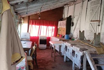 Casă cu 4 camere cu Teren 7000 Mp în Verbița - 3