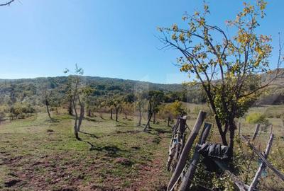 Teren extravilan cu priveli?te superba , livada ?i poten? - 11