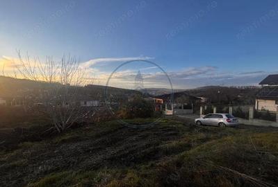 Teren Intravilan 700mp valea jelnei - 2