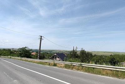 Teren de 925 mp, în Berceni - 1