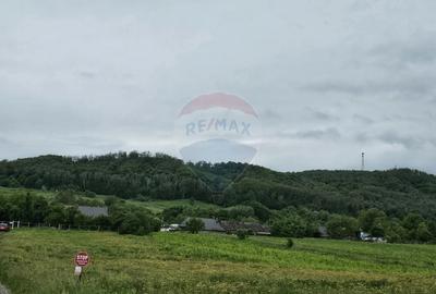 Teren Construcții intravilan de 1495 mp, în Dobreni - 6