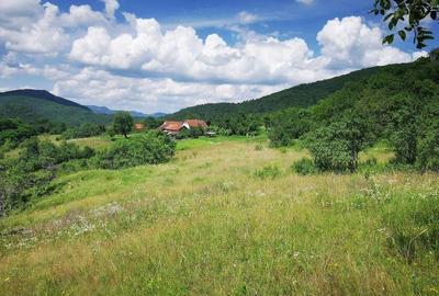 Teren de 37500 mp, în Barbura - 1