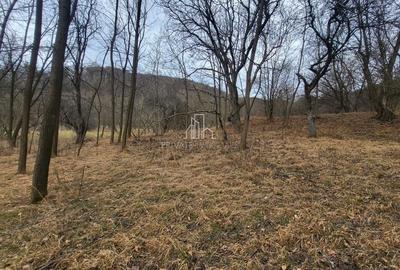 Teren de vanzare intravilan, 10 000 Mp , Sighisoara - 5