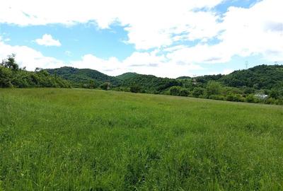 Teren agricol extravilan de 16000 mp, în Borlovenii Noi - 11