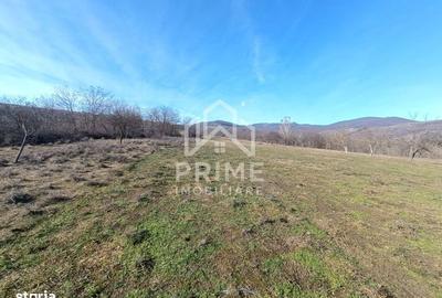 Spațiu comercial, în Pâclișa - 3