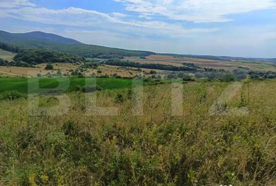 Teren de 6500 mp, în Central - 6