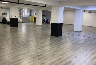 Spațiu comercial, de 300 mp, în Cantacuzino - 4