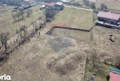 Teren de 3591 mp, în Aghireșu - 9