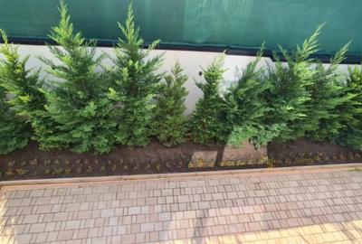 Spațiu comercial, de 291 mp, în Dămăroaia - 11