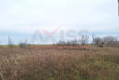 Casa noua neterminata cu teren 2.026 mp, in Lunca – Tulcea - 3