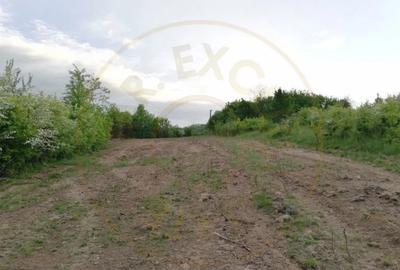 Teren de 900 mp, în Moșoaia - 2