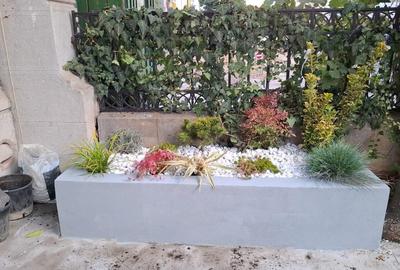 4 CAMERE|| DEMISOL || CALEA DOROBANTILOR - 44