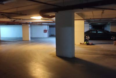 Penthouse cu 4 camere decomandat în Mihai Bravu - 3