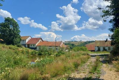 Teren de 4500 mp, în Brebu - 12