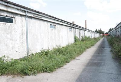 Hala industriala Ungheni, Judetul Mures - 4