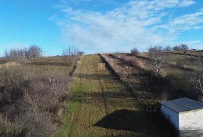 Teren Intravilan 2460 mp Suceava De Vanzare 0727817187 - 8