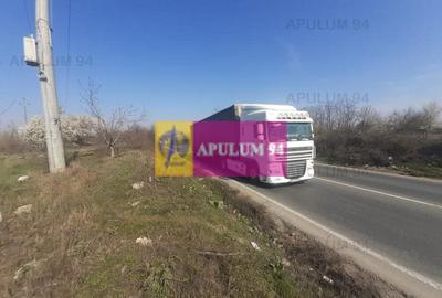 Teren Construcții intravilan de 4800 mp, în Glina - 38