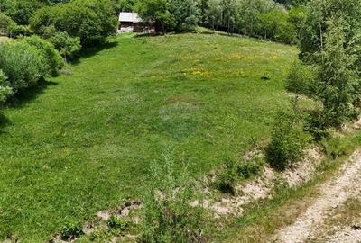 Comision 0% | Teren intravilan 2068 mp | Magura | Piatra Craiului - 2