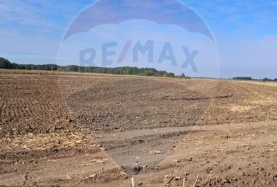 Teren 21,177mp Santaul Mic / Strada - - 3