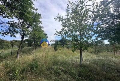 Teren + Casa de Vanzare 1170 mp Dumbrava Ro?ie, N - 1