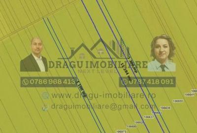Teren agricol Munteni/Galati / 7.5 ha - 1