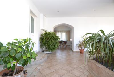Casa cu teren de 5165 mp, in Becicherecu Mic ,la artera principala - 14