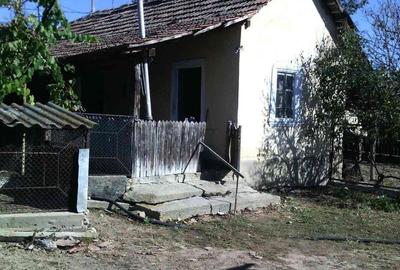 Casă cu 5 camere cu Teren 3000 Mp în Orevița Mare - 3